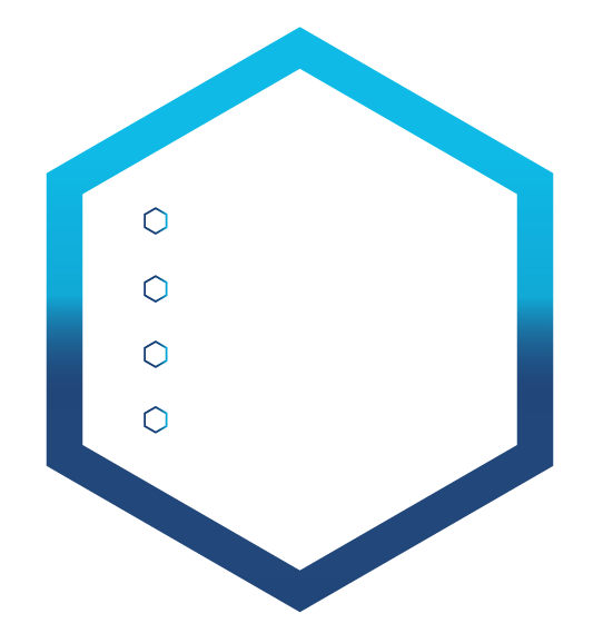 Description des activités IP Connexe Alarme Vidéosurveillance Domotique Audiovisuel